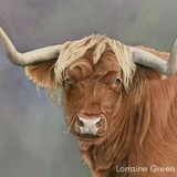 LG14 Highland Cow A6 Greetings card featuring a Highland Cow