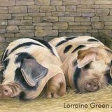 LG15 Painswick Pigs A6 Greetings card featuring 2 Gloucester Old Spot pigs