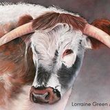 LG19 Longhorn Cow A6 Greetings card featuring a Longhorn cow