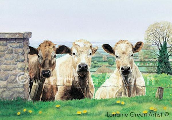 A6 Greetings card featuring 3 cows - the escape committee