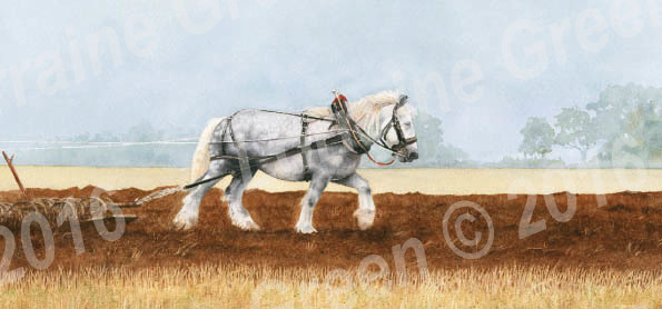 DL Greetings card featuring a grey heavy horse