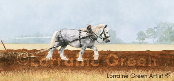 DL Greetings card featuring a grey heavy horse