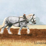 LG21 Misty Morning Grey DL Greetings card featuring a grey heavy horse