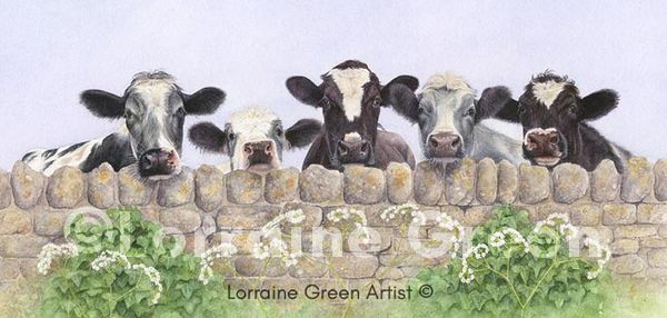 DL Greetings Card featuring five curious cows looking over a wall