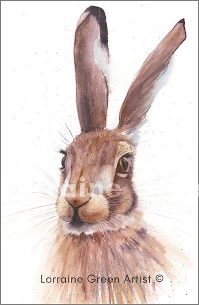 A6 Greetings Card featuring a watercolour image of a Hare