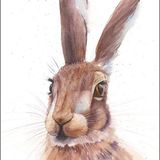LG24 Mr. Hare A6 Greetings Card featuring a watercolour image of a Hare