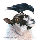 LG26 The Passenger 148mm square greetings card featuring a sheep and a jackdaw