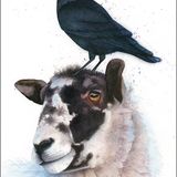 LG27 The Lookout A6 greeting card featuring a sheep and a jackdaw