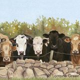 LG6 Cows at the Fence A6 Greetings card featuring 7 cows looking over a fence