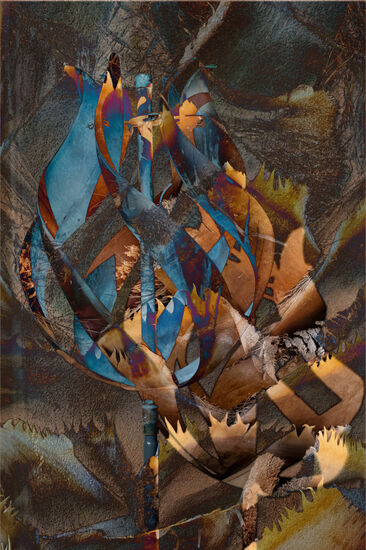 Windcatcher - 10" x 15" - Photo on Metal 2024