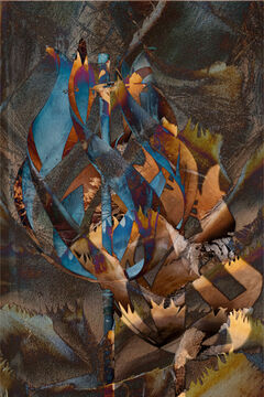 Windcatcher - 10" x 15" - Photo on Metal 2024