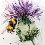 Busy bee Bee thistle