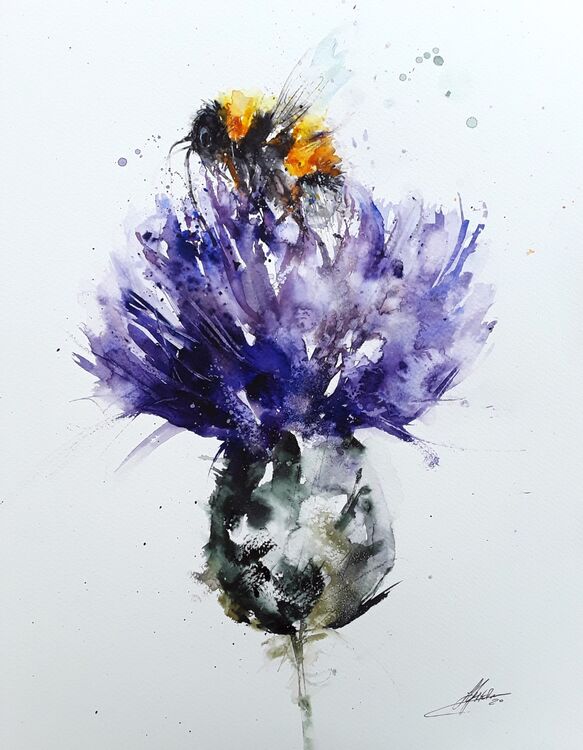 Bee thistle