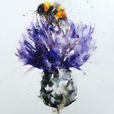 ' Buzzy bold ' 5/75 Bee thistle
