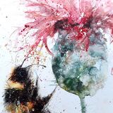 ' Knapweed with bee ' extra image Bee