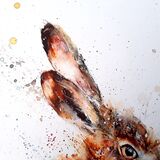 Extra image. Love you still, always will Hares