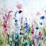 ' Surveying the scene 2 ' extra image Meadow bee