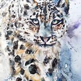 Rare beauty - extra image Leopard