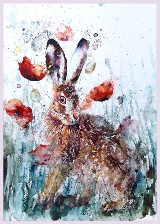 Hare poppy