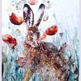 ' io ' SOLD Hare