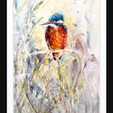 Perched kingfisher