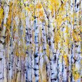 Silver birch trees