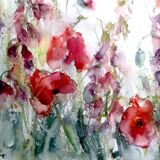 Extra image - Poppies and foxgloves