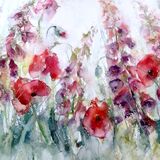 Poppies and foxgloves