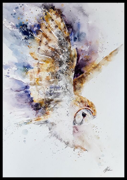 Barn owl