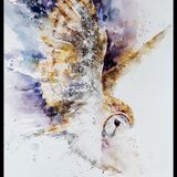 " Dusk " Barn owl