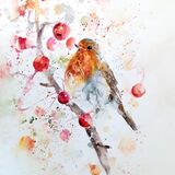 ' Forest fruits ' 1/95 Red Robin