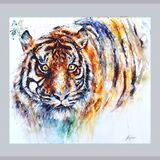 ' Impossible to ignore ' Sumatran tiger