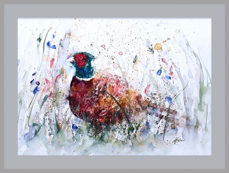 Pheasant