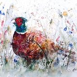 " Wild pheasant " - extra image Pheasant