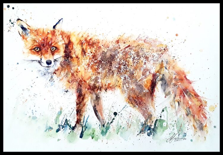 Fox