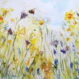Hope - extra image Meadow flowers