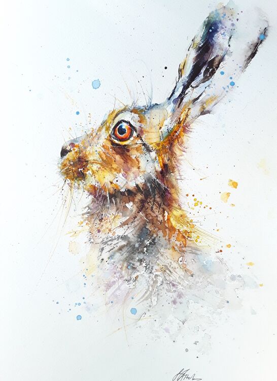 Hare