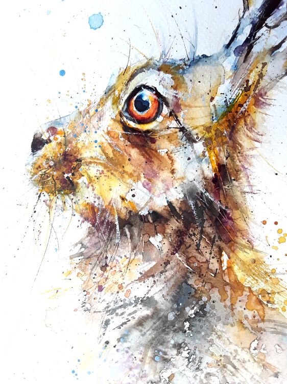 Hare