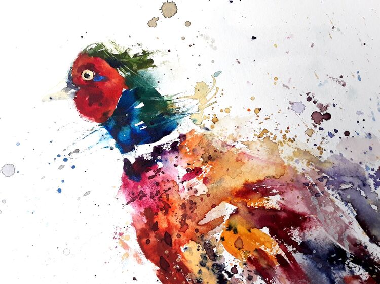 Funky pheasant