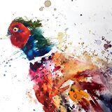 Funky pheasant