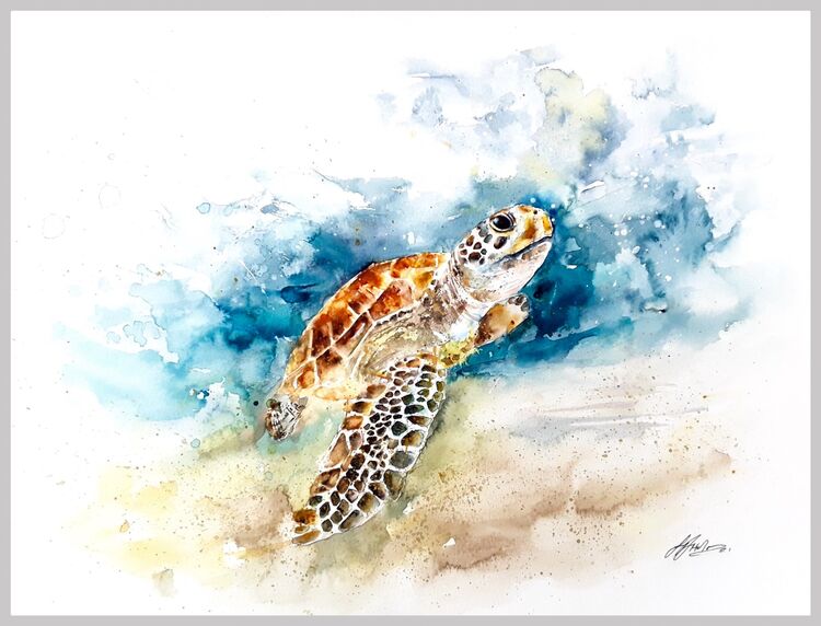 Sea turtle