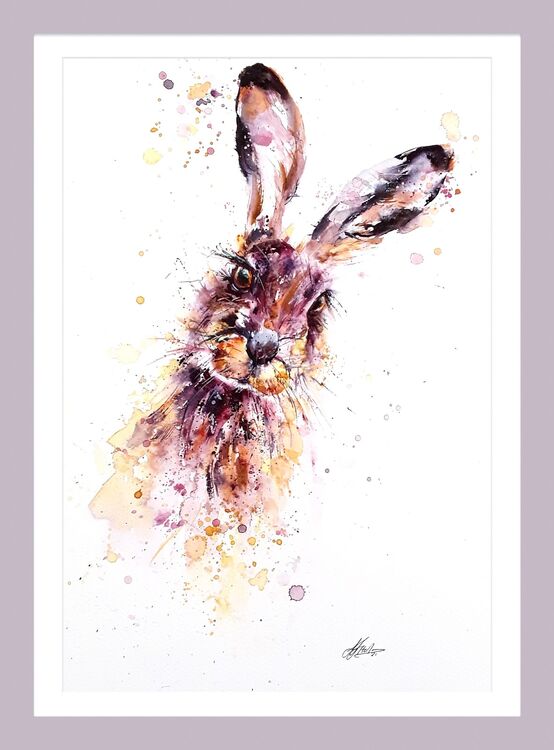Hare head