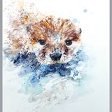 ' Bubbles 3 ' Otter