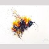 ' Gold dust 2 ' Bee