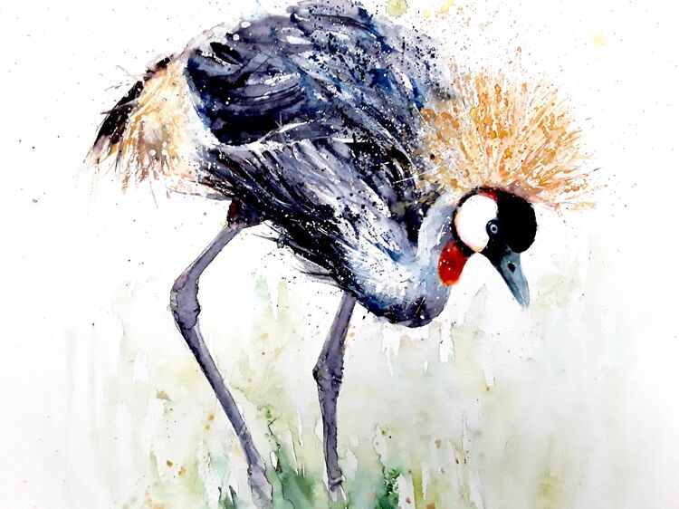 Crested crane SOLD
