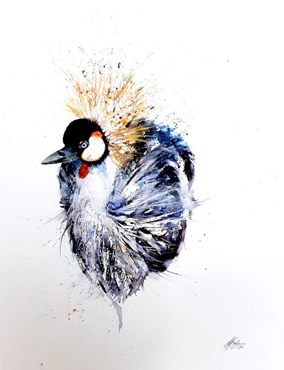 Crested crane