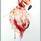 ' In the pink ' Pink flamingo