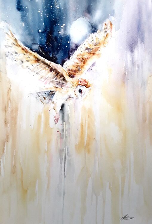 Barn owl