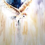 ' Enjoy the silence ' £295 Barn owl