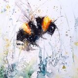 Hovering bee Bee
